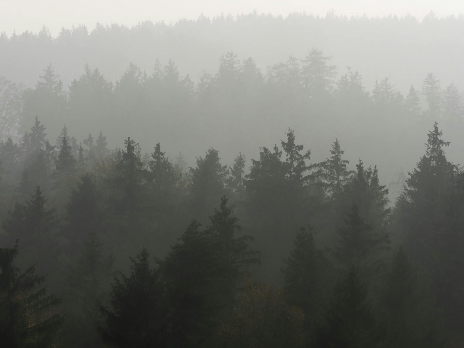 shutterstock 1216776154 Kerrostaminen maisemakuvassa.